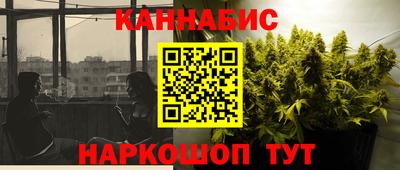 сатива Краснодар