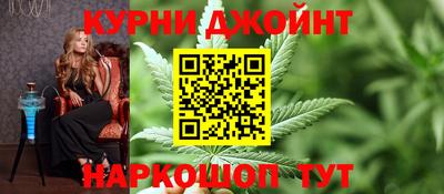 сатива Краснодар