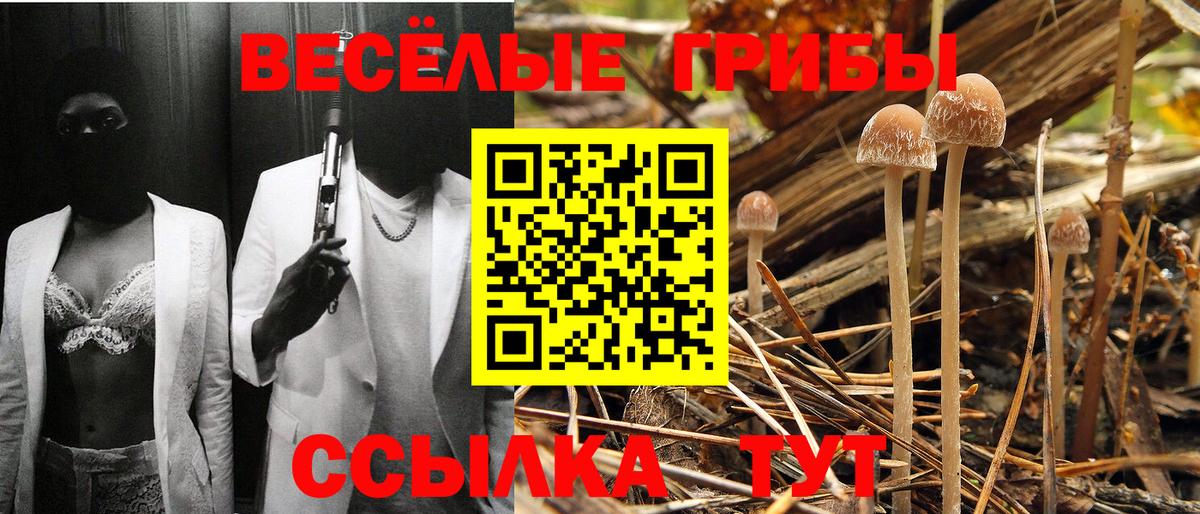 Галлюциногенные грибы мухоморы  Вход с VPN  Коркино 